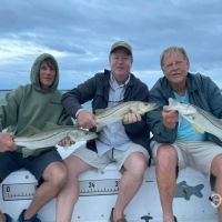 Business Card: 772 Fly And Light Tackle Charters