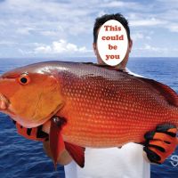 Business Card: Just Fish Charters