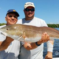 Business Card: Florida Reels Fishing Charters