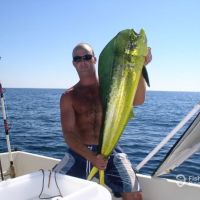 Business Card: NW Florida Dolphin & Fishing Tours