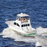 Business Card: Reef Raider Charters