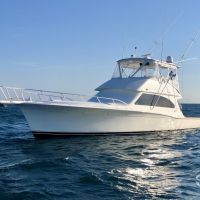 Highly Recommend Apex Predator - Review of Apex Predator Sportfishing, Fort  Pierce, FL - FishingBooker