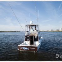 Bloodline sportfishing