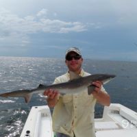 Business Card: John O'Hanlon Fishing - Sharks