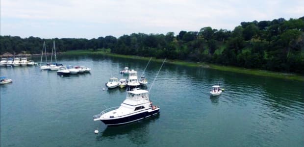 Business Card: Pair Of Jacks Charters