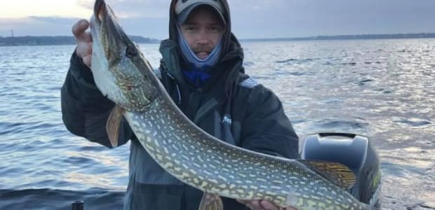 Business Card: Angler One Charters - South Haven