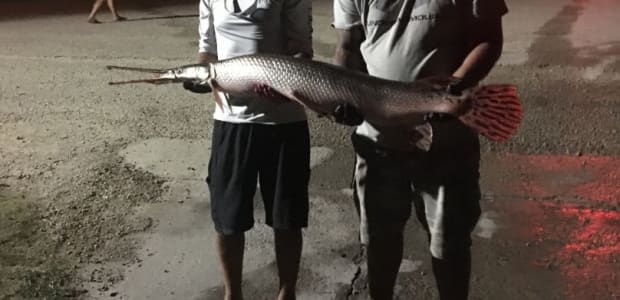Business Card: Live Action Fishing â€“ Fort Worth
