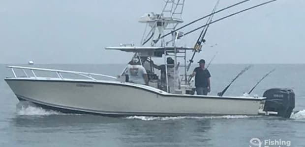 Business Card: AfishinadoVB Fishing Charters