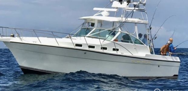 Business Card: Galveston Deep Sea Fishing Charters