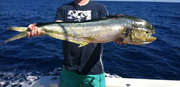 Business Card: Tango Charters