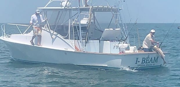 Business Card: Talon Sportfishing Charters