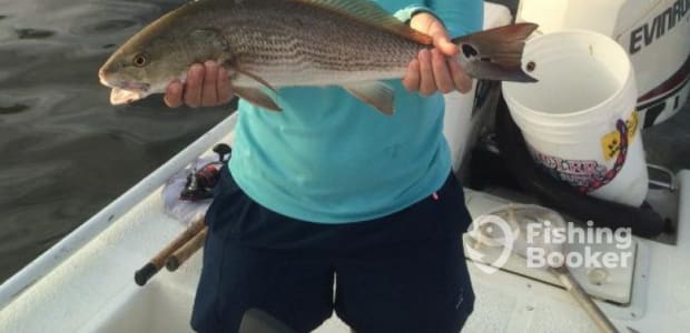 Business Card: Cocoa Beach Sportfishing - Inshore