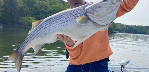 Business Card: Open Boat Fishing  -  Atlanta