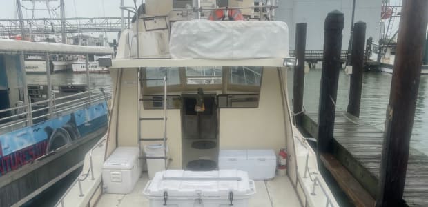 Business Card: Aqua Safari Charters  -  Island Girl