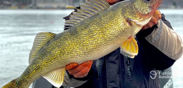 Business Card: 2 B Caught Charters  -  Muskegon Lake