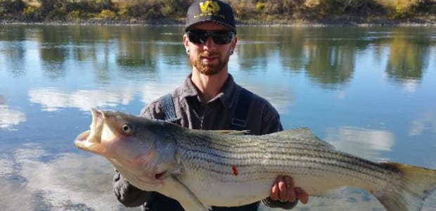 Business Card: 5S River Fishing Guide Service