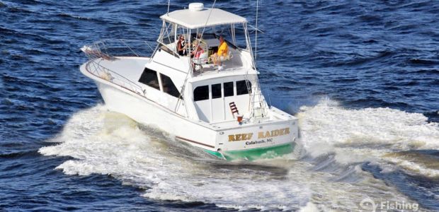 Business Card: Reef Raider Charters