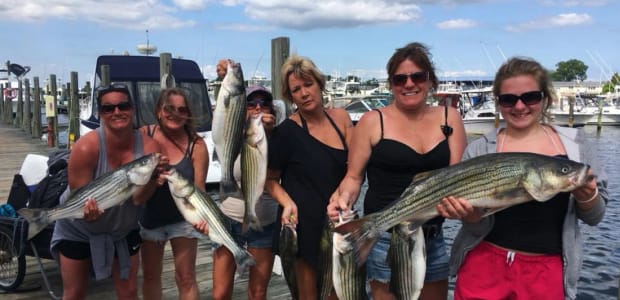 Business Card: My Girl Charters