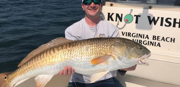 Business Card: Knot Wish'n Custom Charters