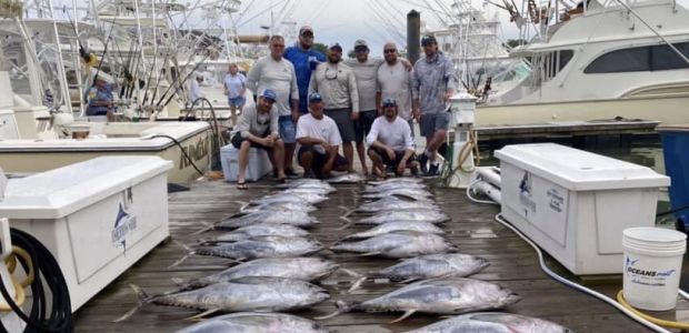 Business Card: Knot Tell'n Charters