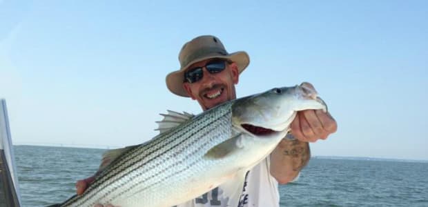 Business Card: Baltimore's Finest Charters