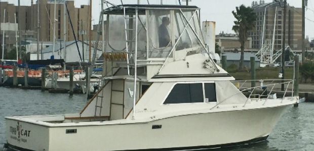 Business Card: Stray Cat Charters Galveston