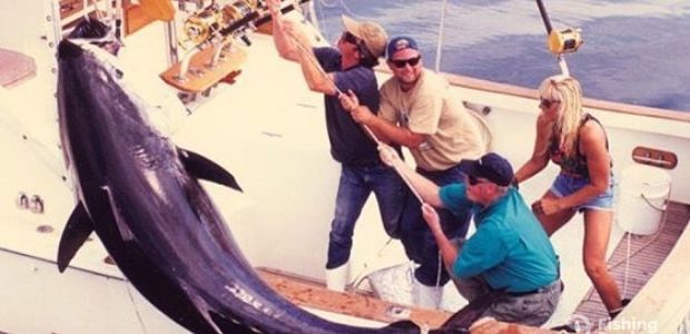 Business Card: Tuna Hunter Fishing Charters