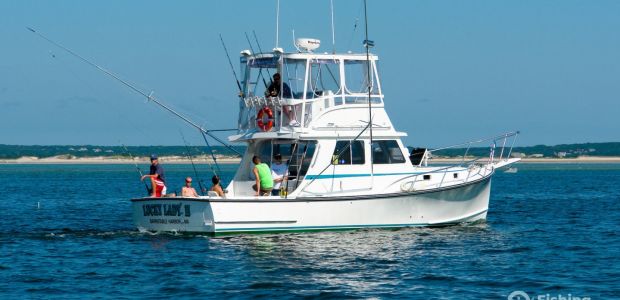 Business Card: Cape Cod Bay Charters Inc.