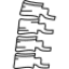 spinal health