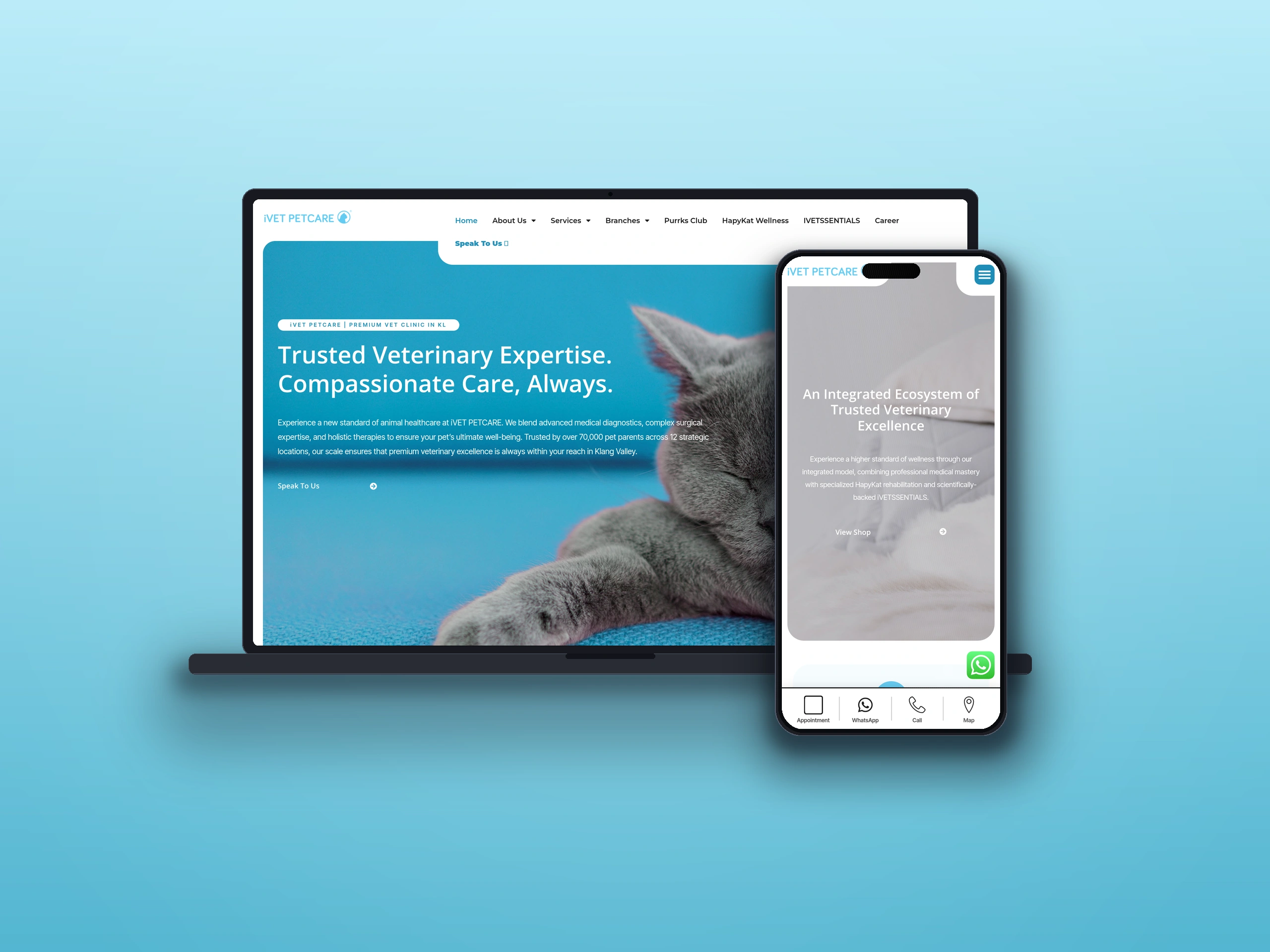 iVet Petcare - Web Design Case Study