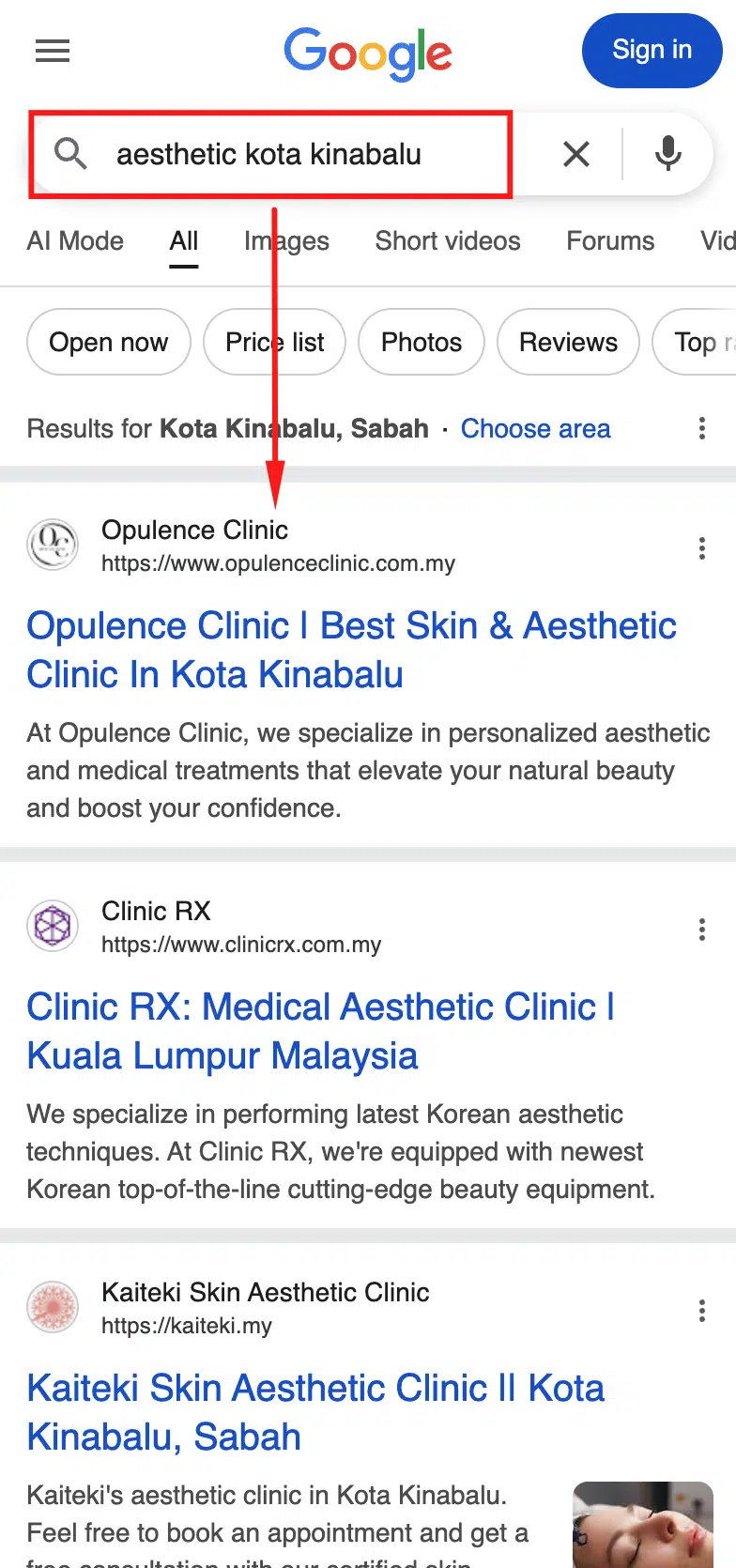 Google Search SEO Result Proof 8