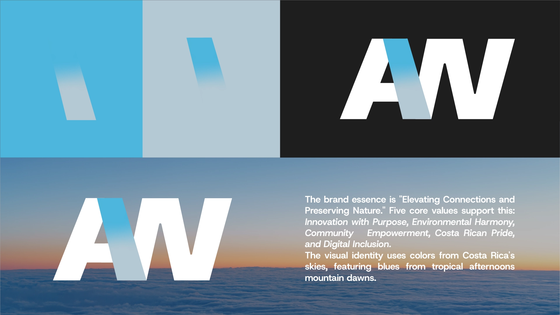 AeroWeb Brand Identity