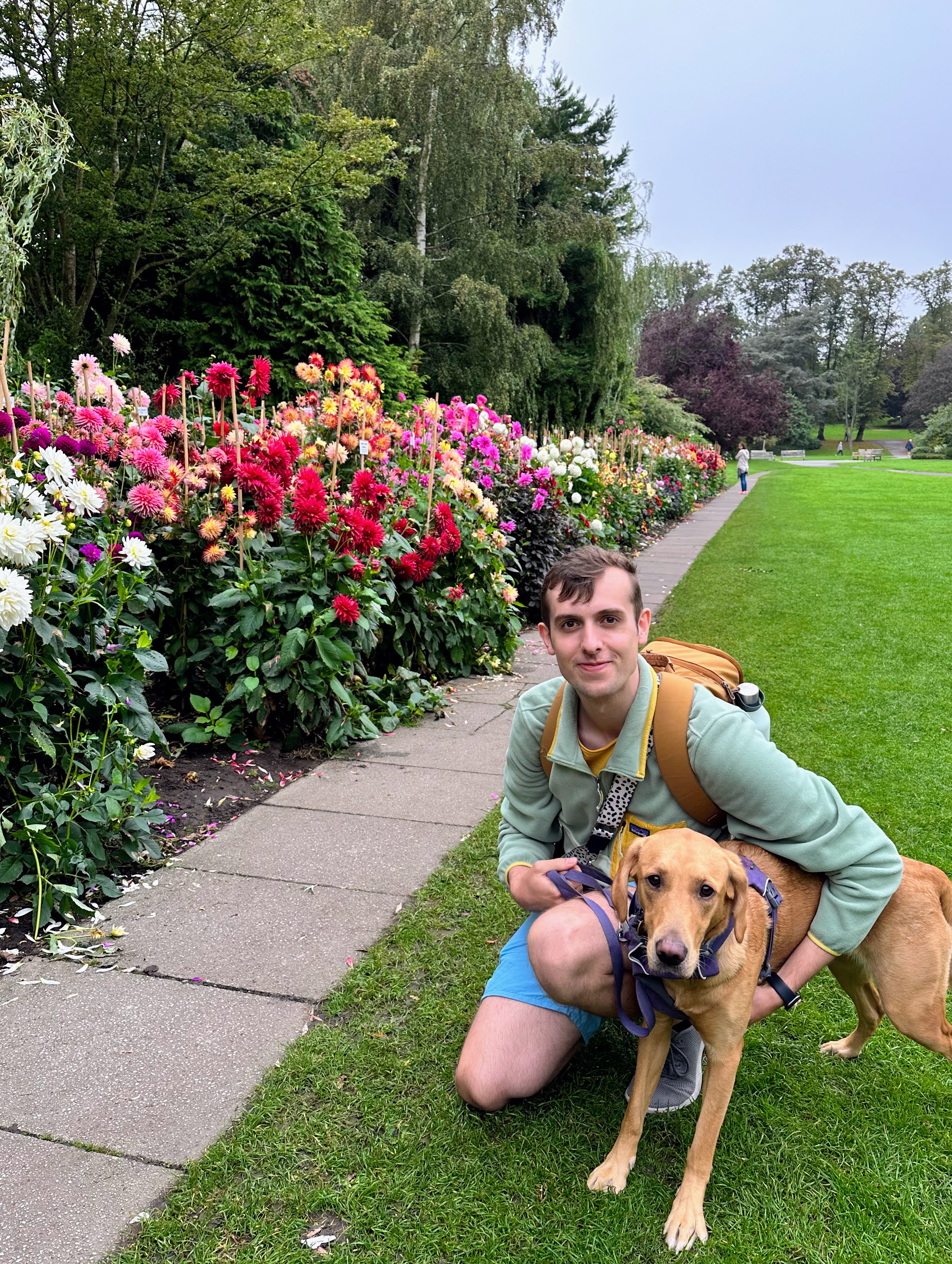 Joe crouched, hugging Betsty, both stood alongside rows of dahlias. The colours of the dahlias range from groups of bright whites, deep reds, neon pinks, and some a mix of orange and red resembling a sunset.