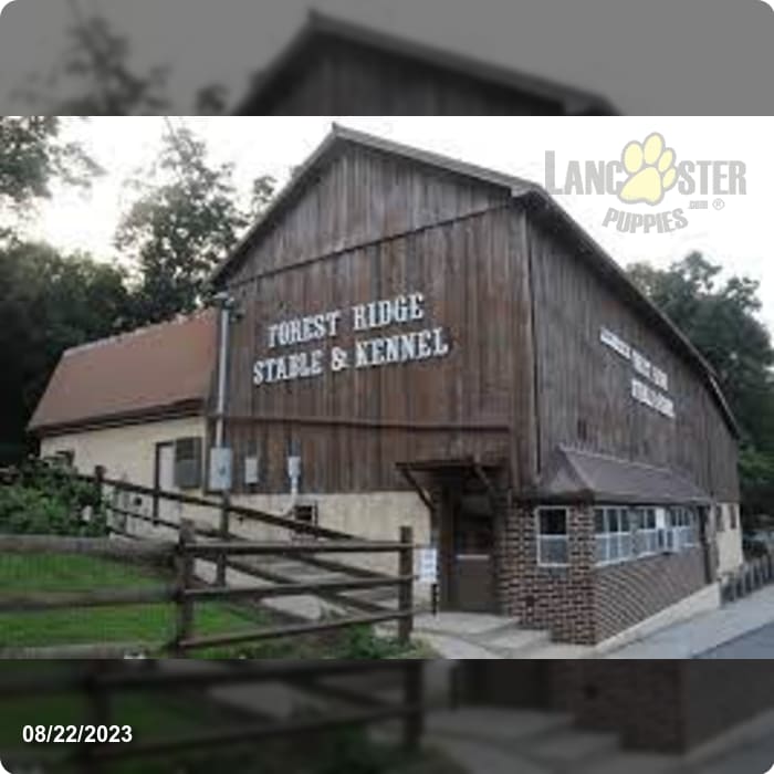 Forest Ridge Kennels Lancaster Puppies