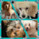 Seller Profile Photo