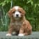 Seller Profile Photo