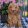 Seller Profile Photo
