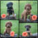 Seller Profile Photo