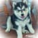 Seller Profile Photo