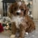 Seller Profile Photo