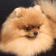 Seller Profile Photo