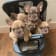 Seller Profile Photo