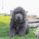 Seller Profile Photo