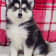 Seller Profile Photo