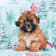 Seller Profile Photo
