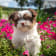 Seller Profile Photo