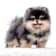 Seller Profile Photo