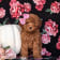 Seller Profile Photo