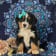 Seller Profile Photo