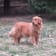 Seller Profile Photo